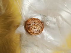 椰丝起酥-多乐之日(颐堤港店)