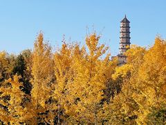 -北坞公园
