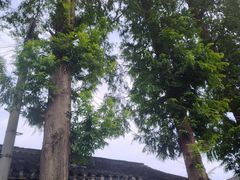 -吾介小籠館