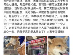 -中环花鸟鱼虫市场