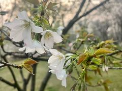 -九里河湿地公园