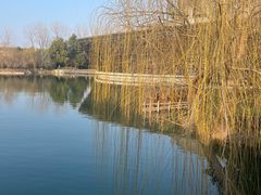 -乌镇景区