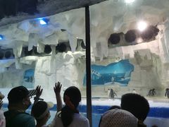 -华夏文旅海洋公园