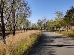 -东郊湿地公园