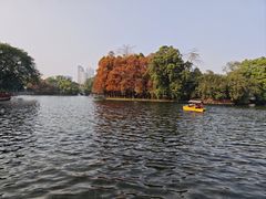 -荔湾湖公园