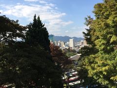 -新罗免税店(首尔总店)
