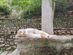 -北京凤凰岭