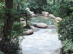 -天目湖涵田半山温泉