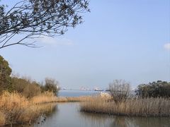 -上海吴淞炮台湾国家湿地公园