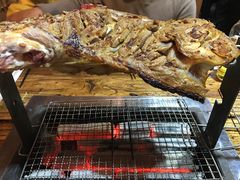 -柿子树炭烤羊腿(金台路店)