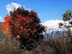 -萝卜寨羌文化生态旅游区