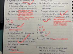 -JT PREP国际学科课程·IB·AP·Alevel(陆家嘴校区)