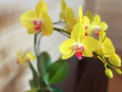 -广交会威斯汀酒店