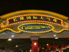 -广州长隆国际大马戏