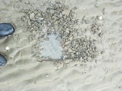 -东疆建设开发纪念公园