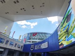 -盒马X会员店(王府井奥莱UP TOWN店)