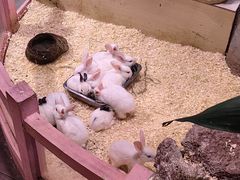 -正佳雨林生态植物园