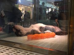 -乐宠宠物店(世纪金源店)