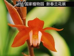 -北京植物园-展览温室