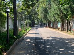 -北京大葆台遗址博物馆