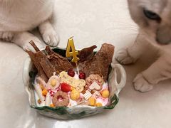 -帕帕拉兹宠物(亚洲旗舰店)