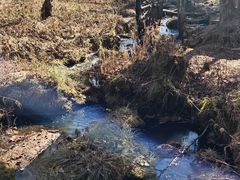 -五营红松林海景区