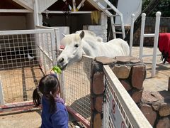 -J Create城市露营咖啡·简餐·宠物(上海动物园店)