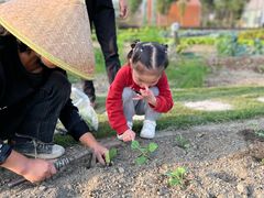 -中国天府农业博览园