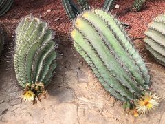 -南通洲际绿博园