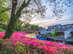 -老门东历史文化街区
