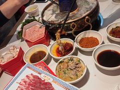 -董记老清泉·鲜切涮羊肉(窑岭店)