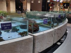 -旺顺阁海鲜广场(亚运村店)
