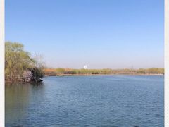 -大兴滨河森林公园