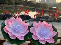 -广西壮族自治区药用植物园