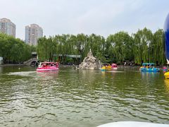 -团结湖公园