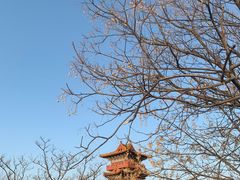 -清明上河园