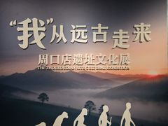 -四川大学博物馆
