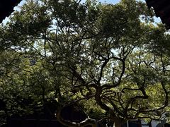 -水绘园