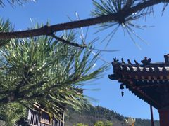 -五台山风景名胜区-罗睺寺