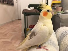 -雨林宠物医院 非犬猫异宠专科