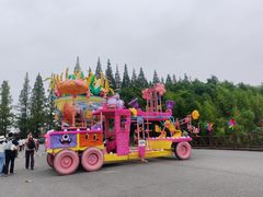 -黄海国家森林公园