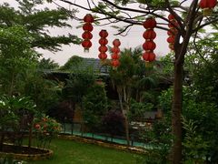 -陶缘一号·四季缘·老字号顺德菜·户外婚礼家宴(西滘店)