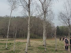 -高尔山公园