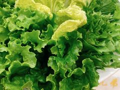 -常赢三兄弟·清真涮肉·清真炒菜(朝阳新城店)