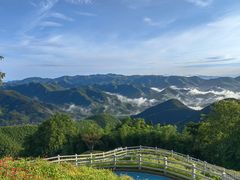 -莫干山风景区
