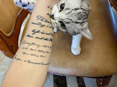 -翊宠yipet猫狗购宠庄园犬舍•猫舍