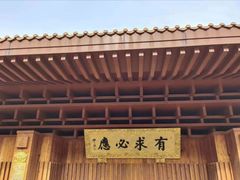 -深圳仙湖植物园-停车场
