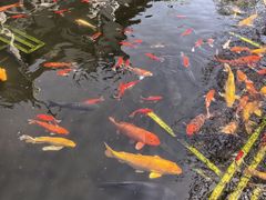 -巴陵广场