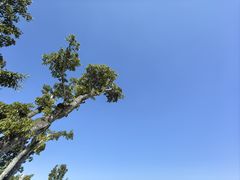 -西昌邛海湿地-月亮湾景区