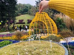 -深圳仙湖植物园